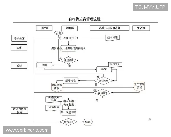 亚星平台登录行详细指南帮助玩家顺利进入游戏账号安全登录流程解析