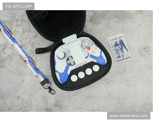 亚星数字站在游戏推广与合作方面的成功案例分享