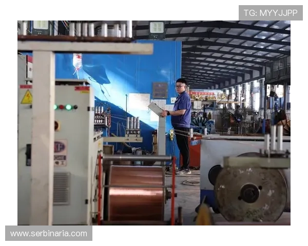 亚星线缆集团有限公司的企业文化与社会责任实践案例分享提升企业品牌形象