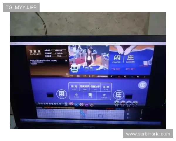 利用百家乐模拟器进行练习,提升你的牌技水平,轻松应对真实赌场的挑战 利用百家乐模拟器进行练习,提升你的牌技水平,轻松应对真实赌场的挑战