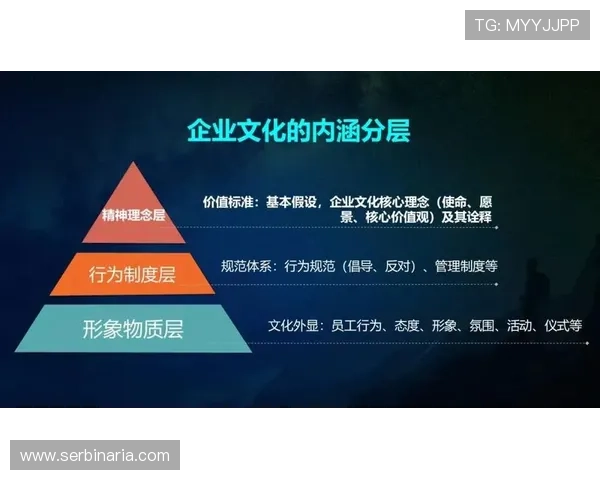 亚星公司官网提供企业管理团队介绍与企业文化建设的深度内容