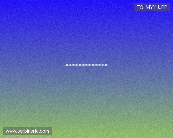 亚星游戏网站免费下载与安装教程,帮助新手快速上手各种热门游戏