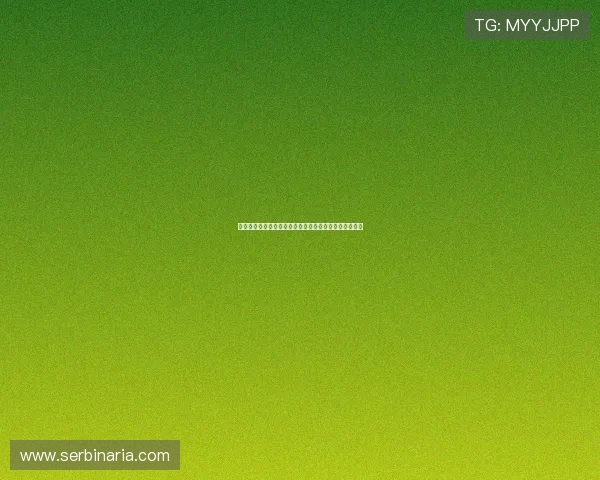 亚星代理官网分享世界杯期间的最新新闻热点与现场报道